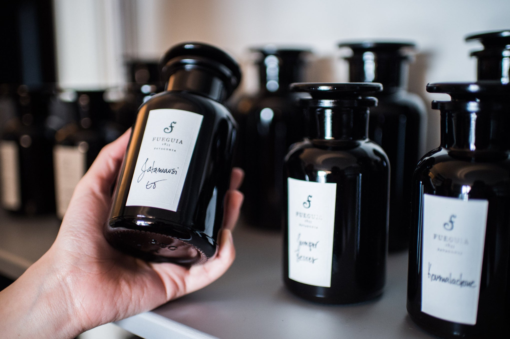 FUEGUIA 1833 | Composición｜コンポジション – FUEGUIA 1833 Japan Online