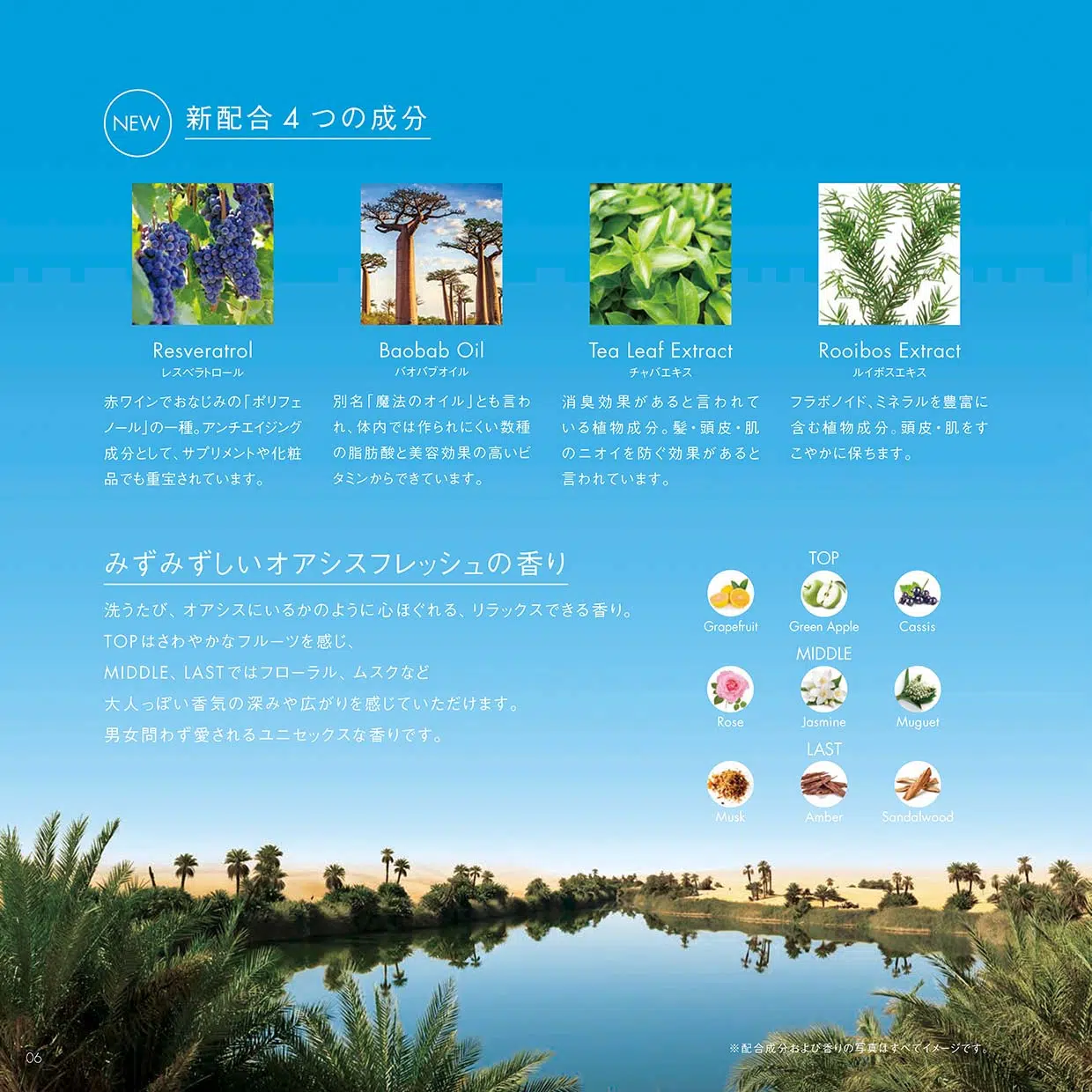 POLA カラハリ ボディソープ 10L - life amenity ライフアメニティ