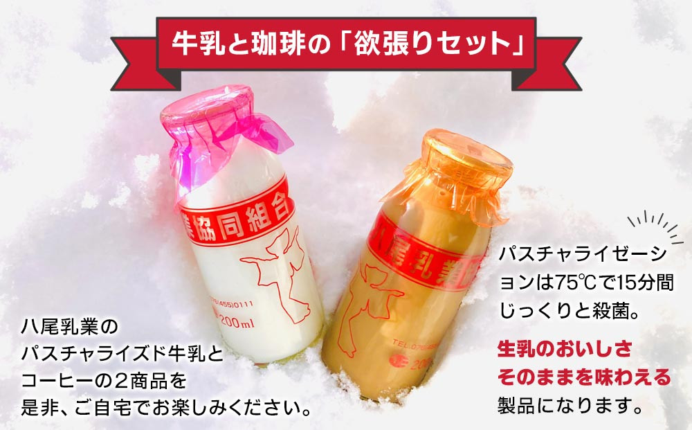 Yatsuo 牛乳・コーヒー セット 各5本 富山八尾のおいしいビン牛乳と