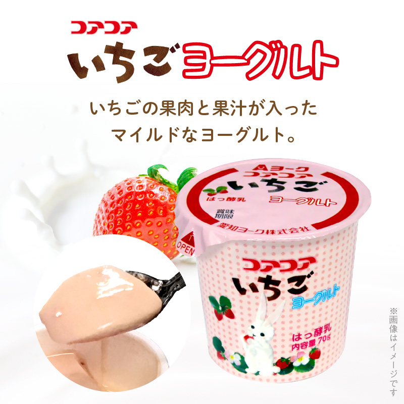 愛知ヨーク コアコアヨーグルト＆国産ゼリーセット 16個入 ヨーグルト