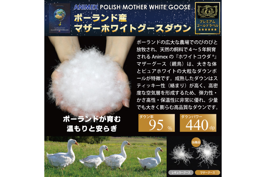 98f9071a32-1721109227