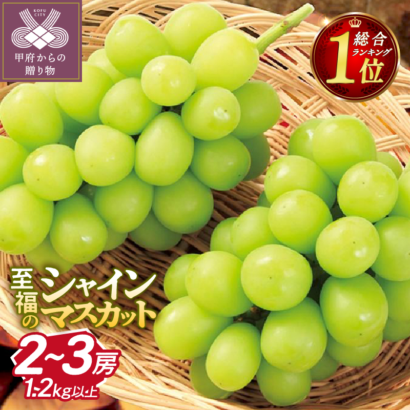 総合1位獲得!!】〈2026年度配送分〉至福の山梨県産シャインマスカット
