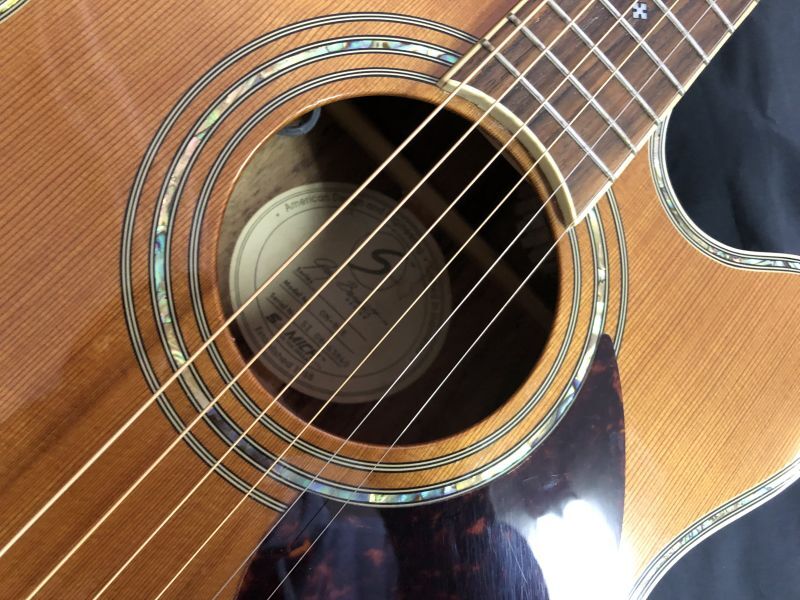 Greg Bennett / OM8CE エレアコ - HR/HMギター専門店 FUTURE WORLD