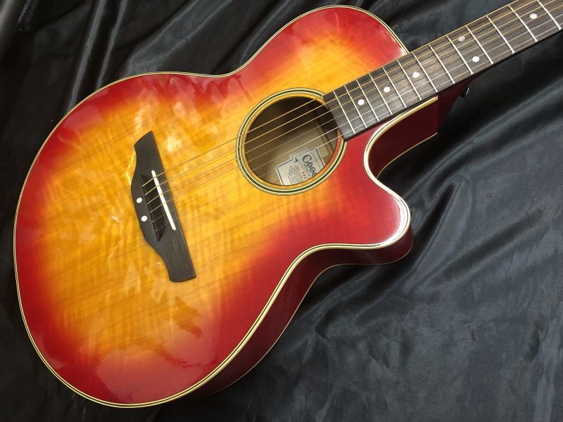 ツバメ11日迄Takamine Cooderエレアコギター大特価‼️ ツバメ11日迄