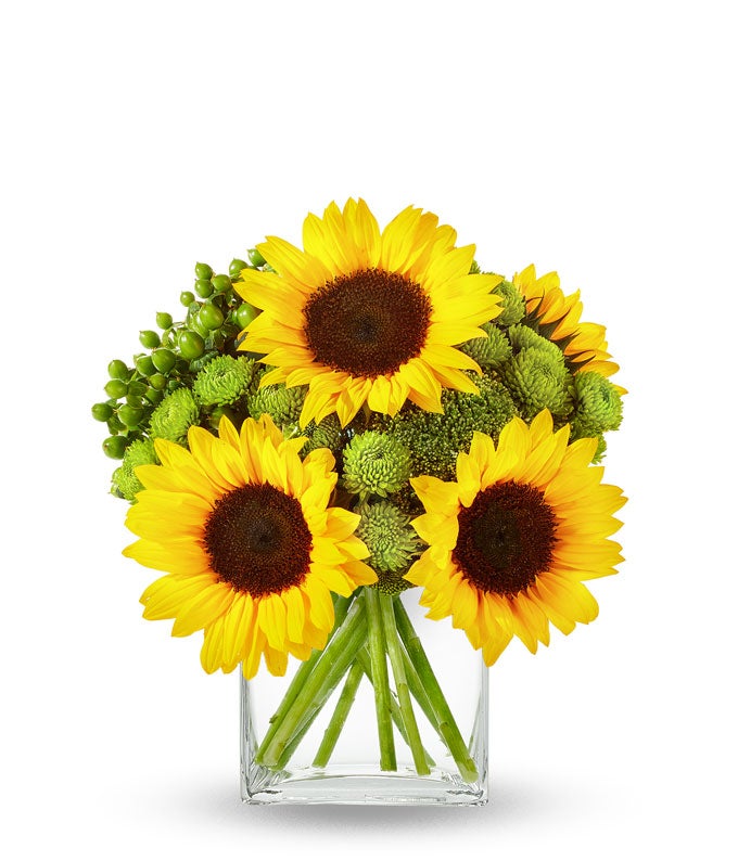 Sunflower Hills at From You Flowers